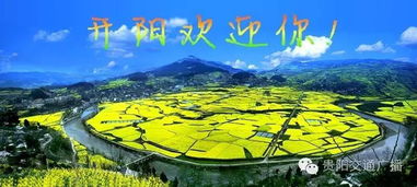 黄金路：贵宾的专属之道