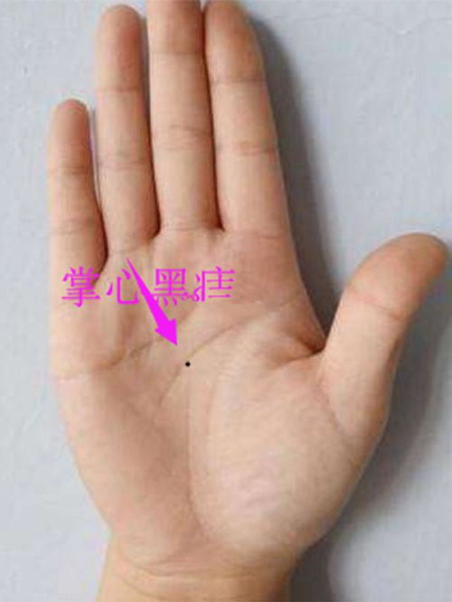 三、 太阳丘：事业、地位与市场价格较高夫