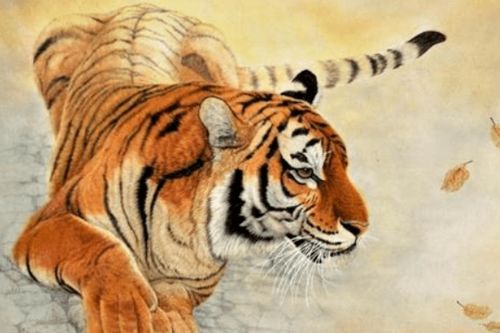 2025年属虎11月出生的人，招财转运的吉祥物是什么？