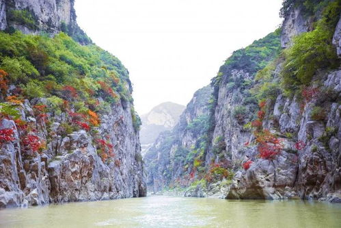 二、门票特惠，周末畅游无压力 (真的无压力吗？)