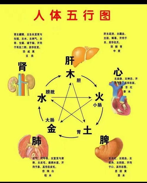 男人八字堪未来准吗？八字算命可信度高不高？这种预测方式靠谱吗？