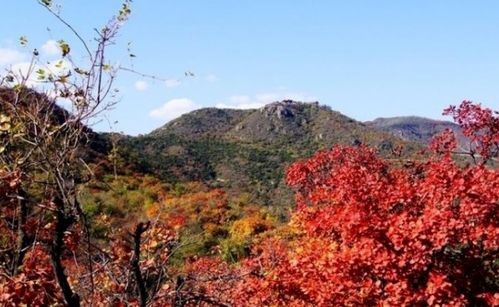 二、 红叶飘落，秋意渐浓——别说我没提醒你