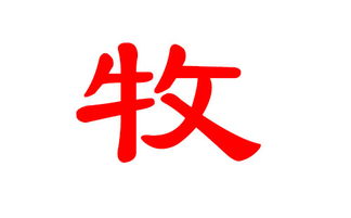 周姓女宝宝2026年取名，有没有两个字的好名字推荐？
