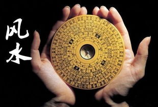 2.1 蛇形通道——龙腾虎跃的对立面