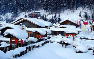 亚布力至雪乡双日游：一次冰雪世界的奇幻之旅