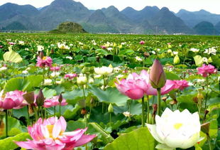 自驾小贴士（随意罗列）