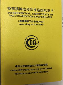 一、 出发前的一地鸡毛：签证和小黄本的那些事儿