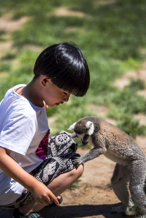 过敏大作战：当鲜花变成生化武器