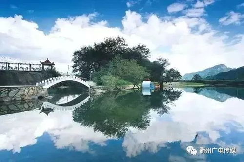 历史的尘埃落在哪里？