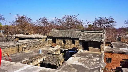 (一)风险：需要关注的问题