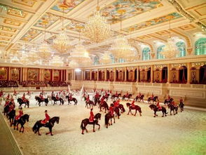 博物馆里的沉默者