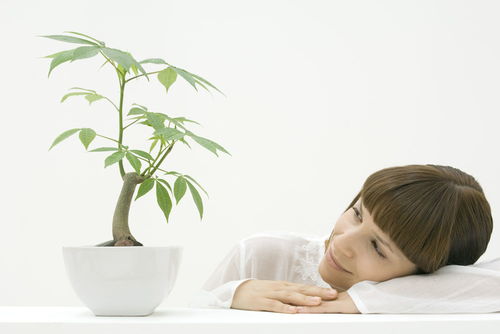 常见的性健康误区