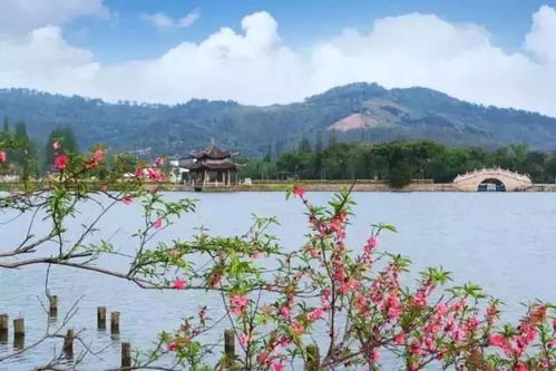 民宿体验：与鸡同眠