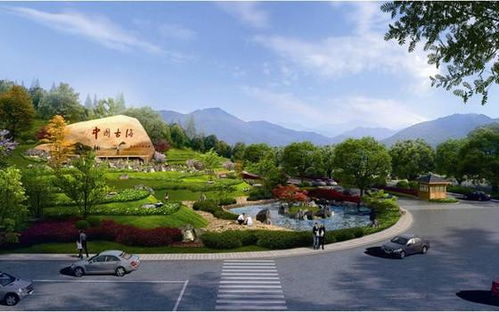 药都的玄学力量：连垃圾桶都在养生