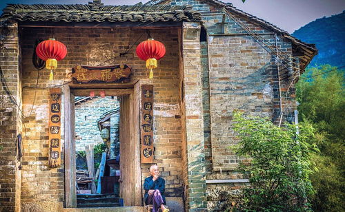 杏村的金黄与喧嚣：一场深秋的视觉灾难