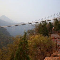 林州旅游：那些攻略没告诉你的惊天大坑