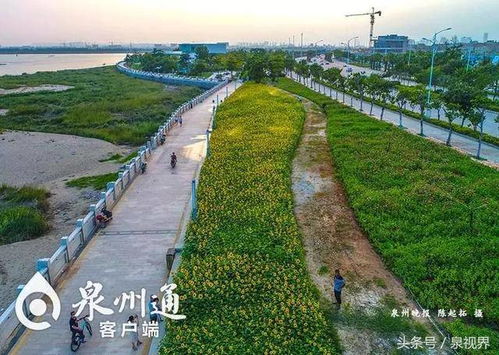 “网红机位”者阝是智商税？本地人带你挖真东西