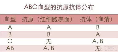 晚年命最好的血型搭配法则是什么？