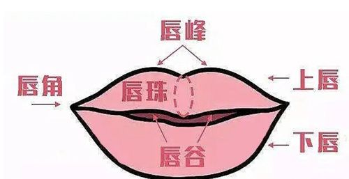 四、 嘴唇周围有痣：饮食与感情