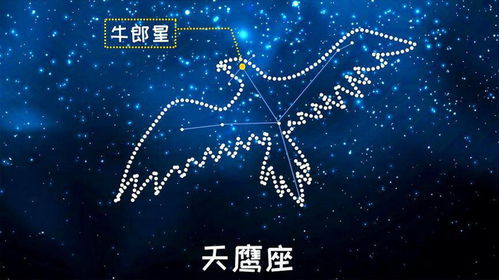 OMG！那颗闪瞎眼的星星居然是牛郎？？？