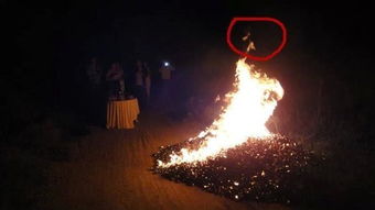 三、道长爆料：灵婴都是粘人精