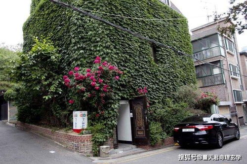 农村阳宅风水：2026年黄历吉凶大揭秘