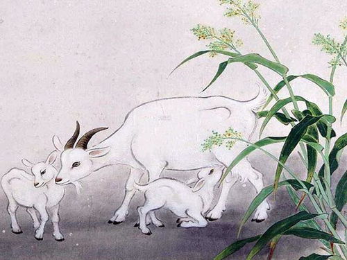 续凫截鹤对应什么生肖，嫩否为一个的？