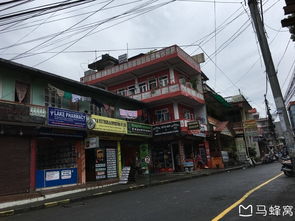 海鲜市场：讨价还价的艺术