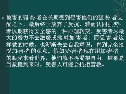 五、特色组合推荐及深度解析