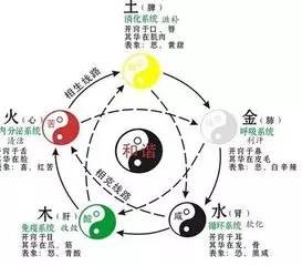 一、 五行特性与运势走向呃其实也没那么简单啦