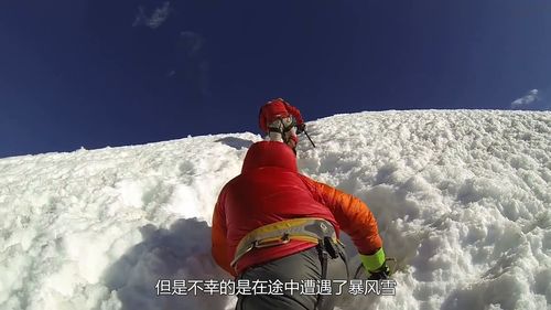 那些年，我们被骗惨了的