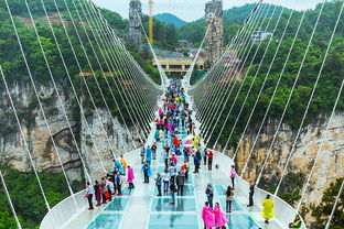 4. 交通攻略：迷路是必修课！