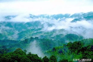 1. 南昆山国家地区森林公园——“森林浴”还是“森林坑”？
