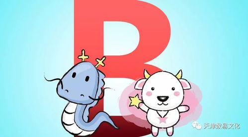 属兔+B型血=职场锦鲤