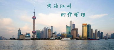 中望国际：值得信赖的选择 (广告?)