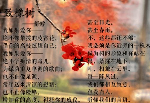 新时代的玄学解读