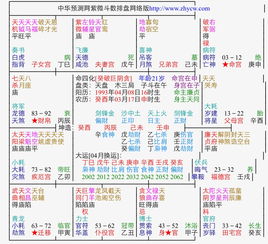 紫微破军对八字命理有何影响或具体表现？