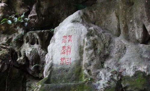 1. 四季有花开、四季有果采、常年可观景