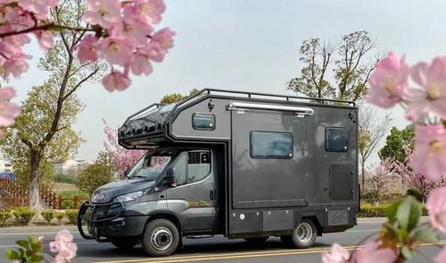 案例分析：湖北自驾游，带狗避暑之旅
