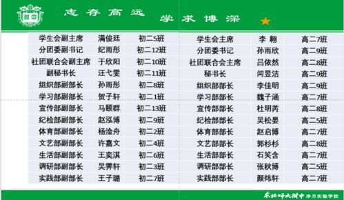 七、  那些乱七八糟的表格和数据