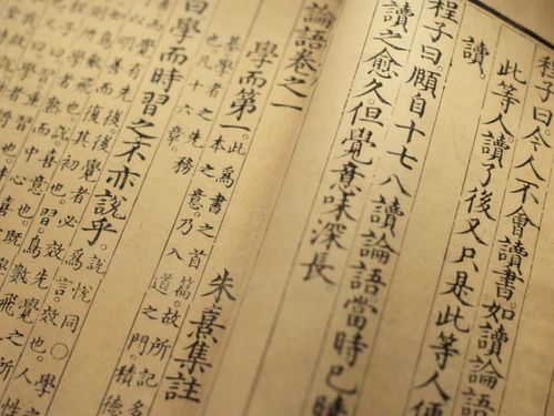 春天女孩取名，炼字取名是吉是凶？取名大全推荐有哪些？