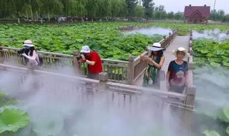 会盟荷花节， 精彩纷呈