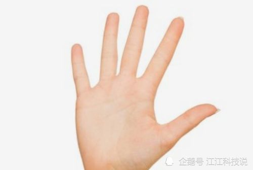 笔直的中指：平衡与和谐