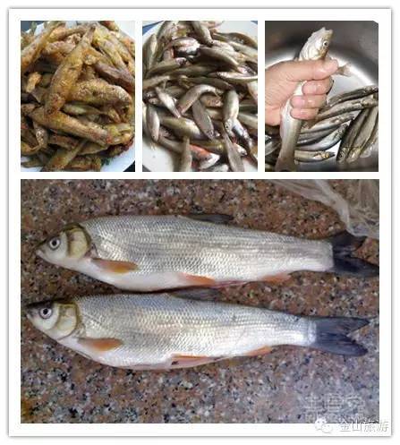 一、为什么说旅游餐饮要有“魂”——不是点菜就是写诗