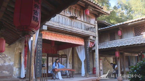 第一章：盐都之谜， 古韵今风