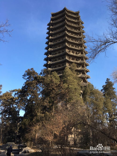 交通攻略：去枣园的路比西天取经还难！