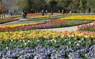 怎么买票？这也是个技术活儿！