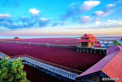 门票那些事儿：免费？优惠？到底咋回事儿？