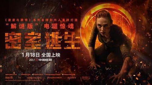 夜半惊魂，兔影幢幢