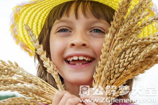 梦见自己捡了好多麦穗，这究竟是什么预兆呢？